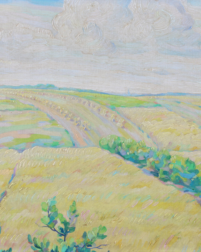 Landschap bij Havelte