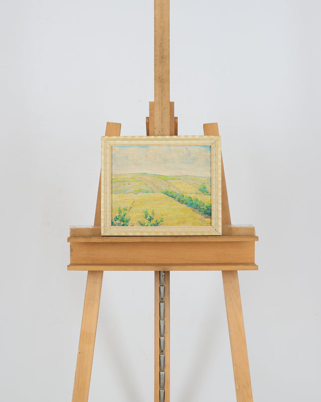 Landschap bij Havelte