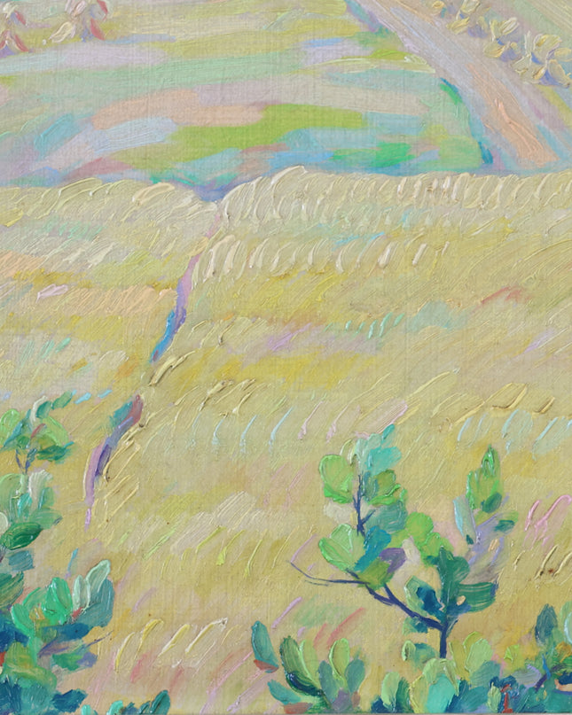 Landschap bij Havelte