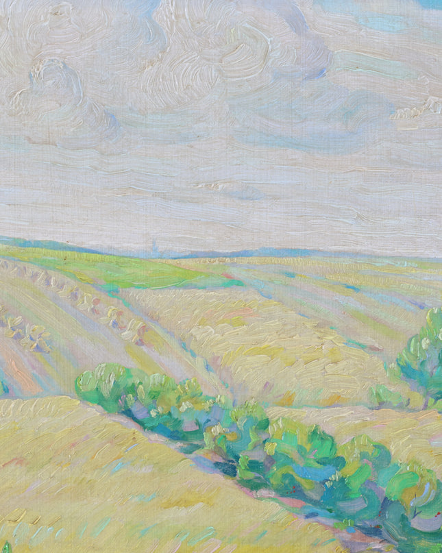 Landschap bij Havelte
