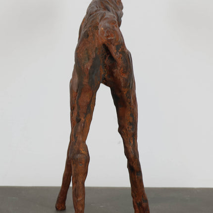 Iron Horse - Robert Jansen (1953)