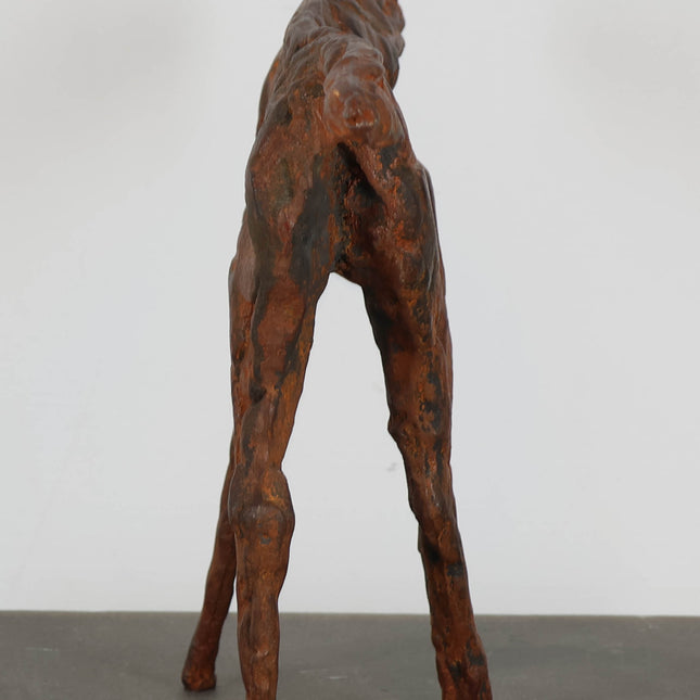 Iron Horse - Robert Jansen (1953)