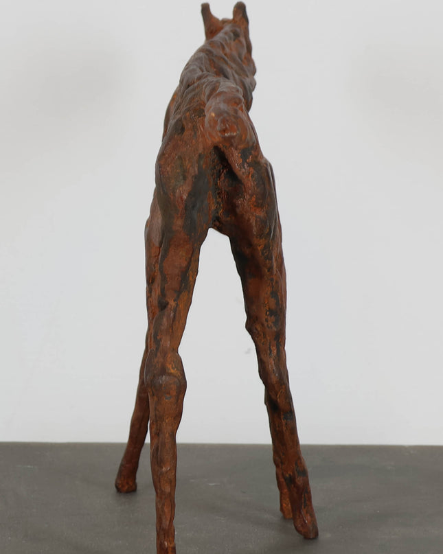 Robert Jansen (1953) - Iron Horse