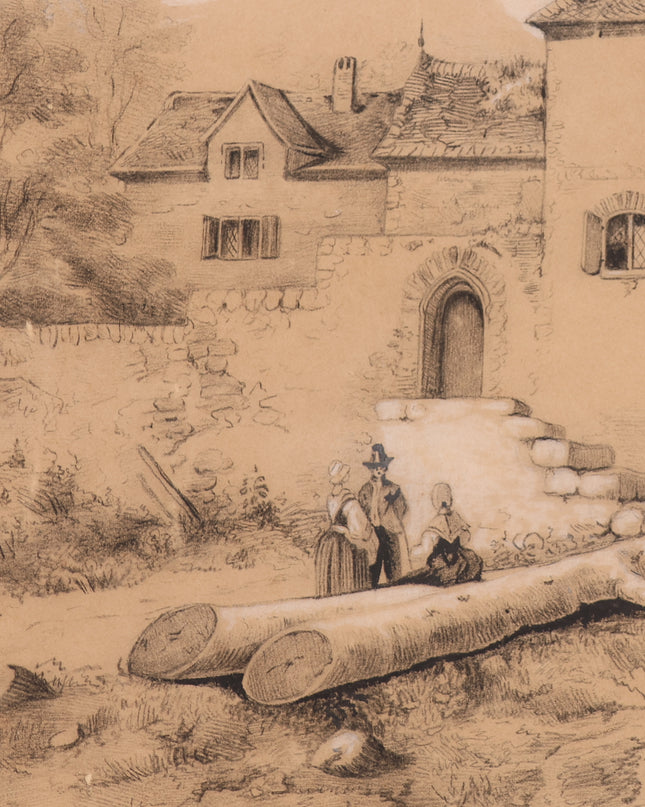 Roseaux au bord de l'eau