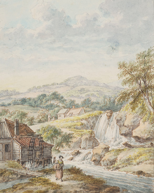 Roseaux au bord de l'eau