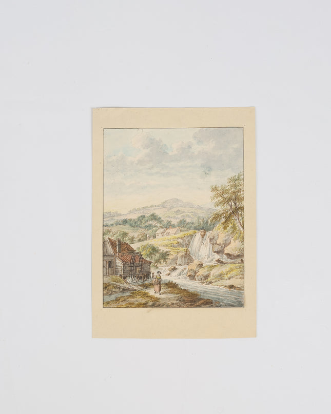 Roseaux au bord de l'eau