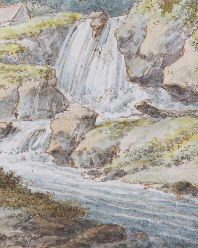 Roseaux au bord de l'eau
