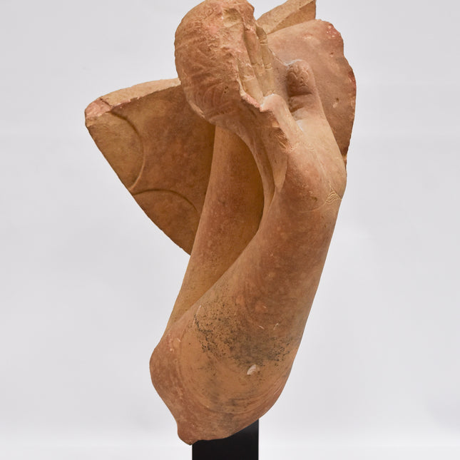 Arm van Boedha Gautama Sakyamuni