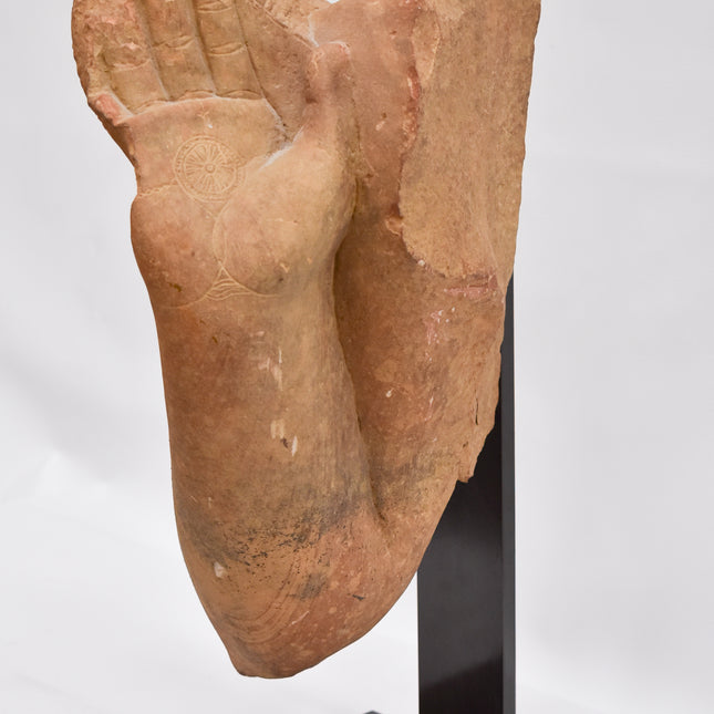 Arm van Boedha Gautama Sakyamuni