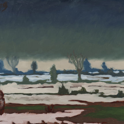 Winterlandschap met ondergelopen land