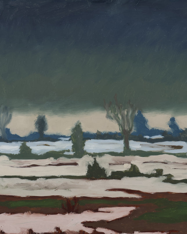 Winterlandschap met ondergelopen land