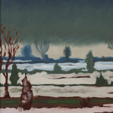 Winterlandschap met ondergelopen land