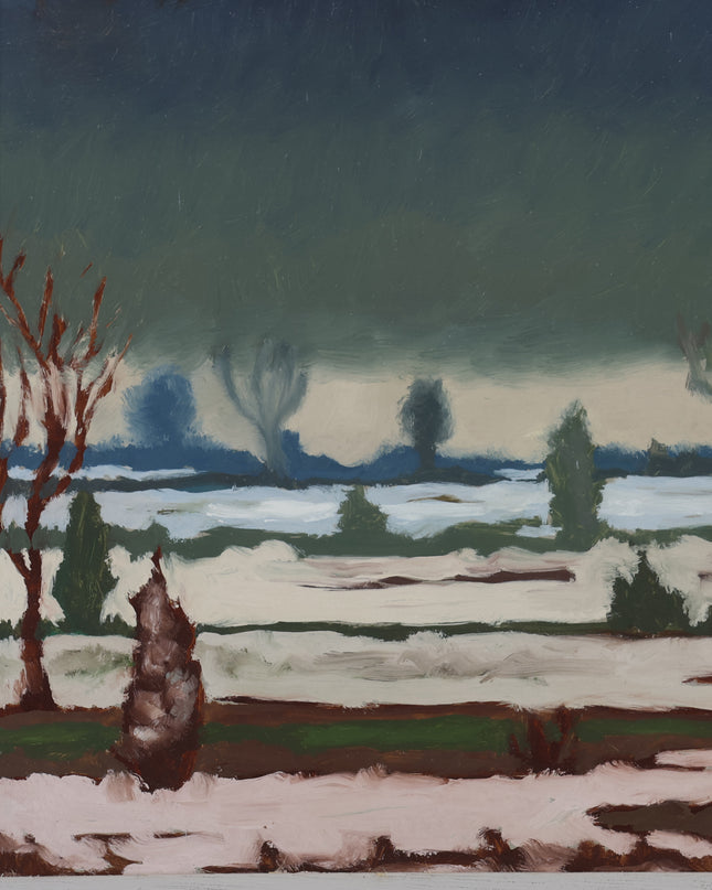 Winterlandschap met ondergelopen land