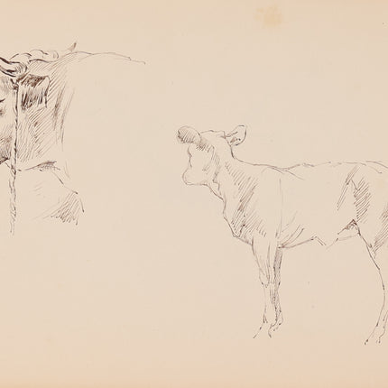 Sketchbook
