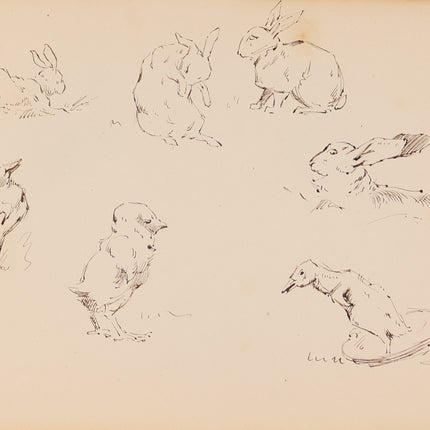 Sketchbook