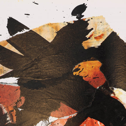 Jan Cremer - Collage