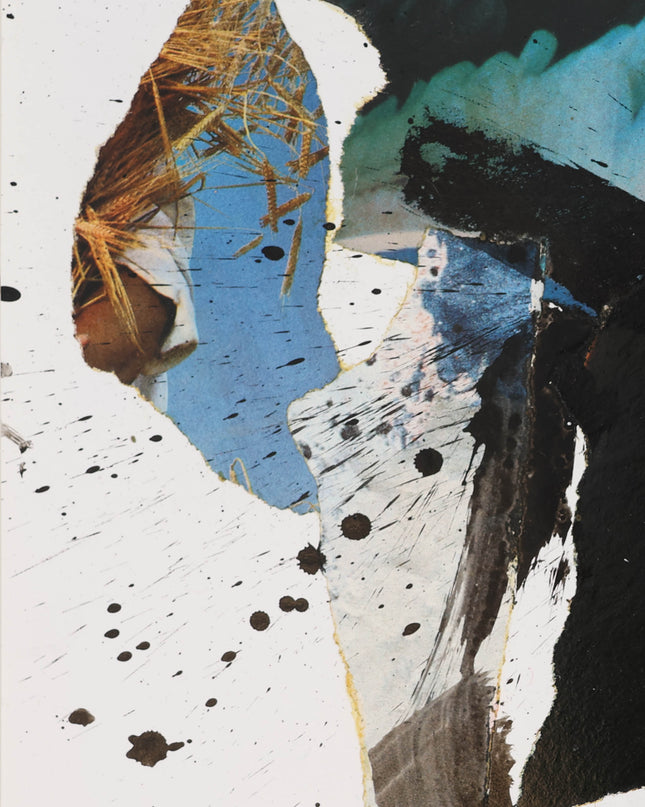 Jan Cremer - Collage