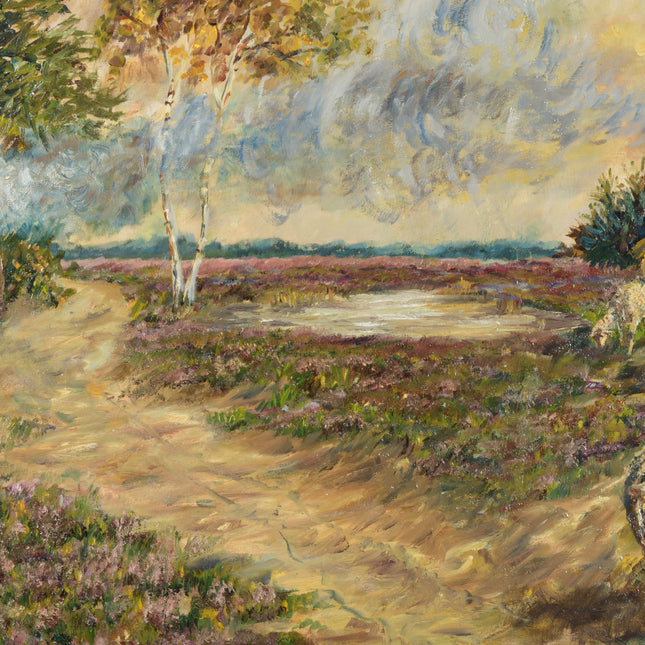 Landschap met schapen Drentse heide