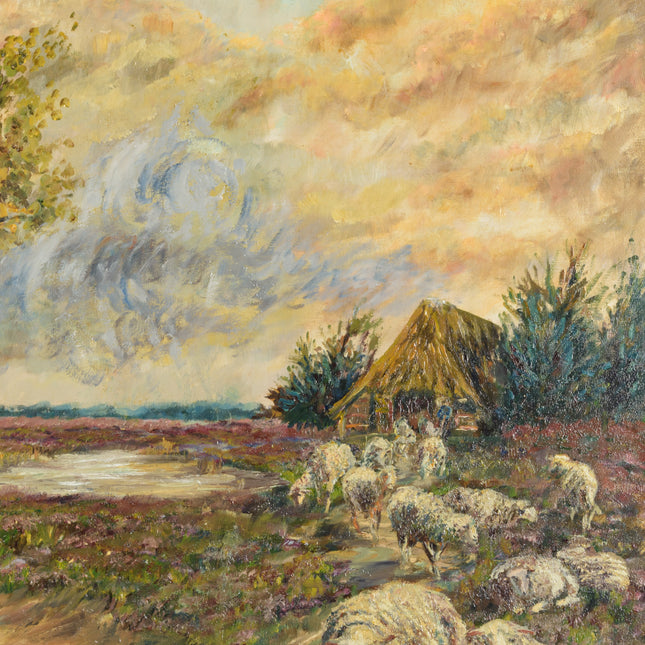 Landschap met schapen Drentse heide