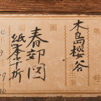 Cherry Blossom - Japanese scroll