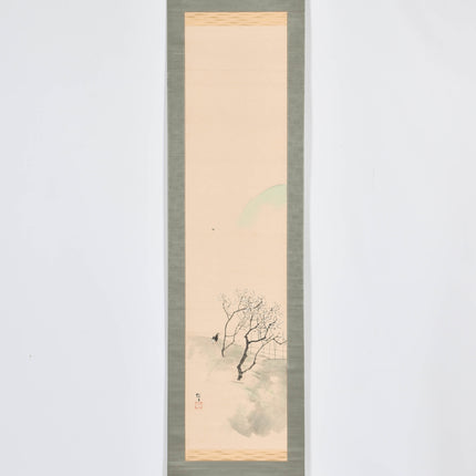 Cherry Blossom - Japanese scroll