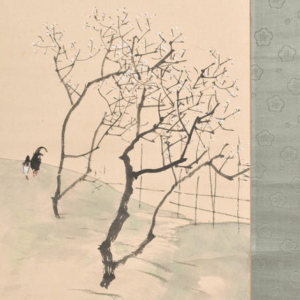 Cherry Blossom - Japanese scroll