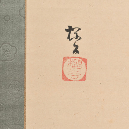 Cherry Blossom - Japanese scroll