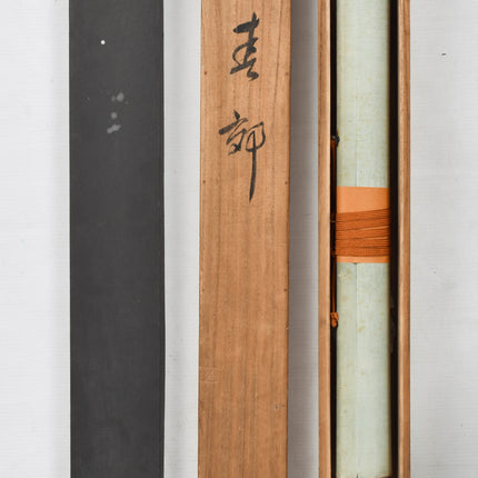 Cherry Blossom - Japanese scroll