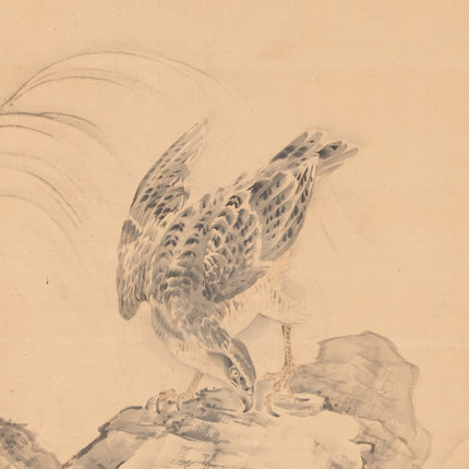Havik op rots - Japanse scroll - Meji Periode