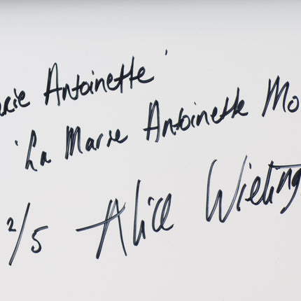 Indian Marie Antoinette (from La Marie Antoinette Moderne)