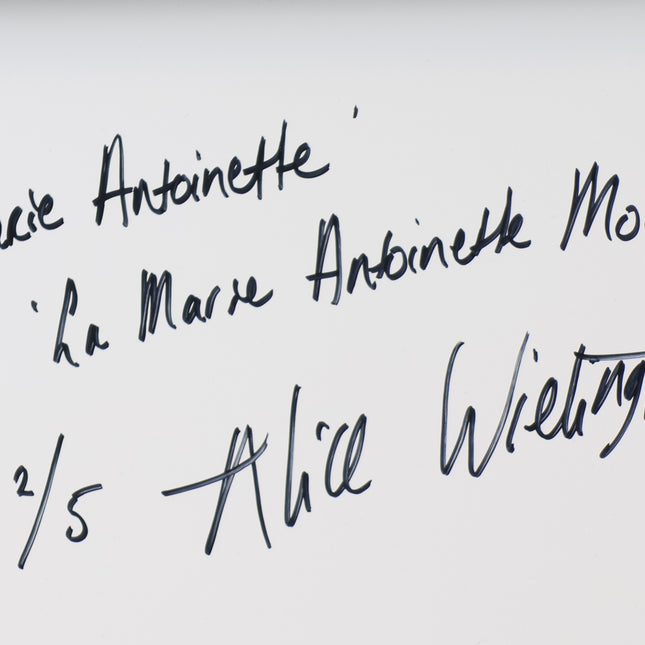 Indian Marie Antoinette (from La Marie Antoinette Moderne)