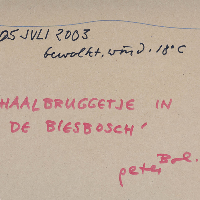 Peter Bol (1947) - Ophaalbruggetje in de Biesbosch