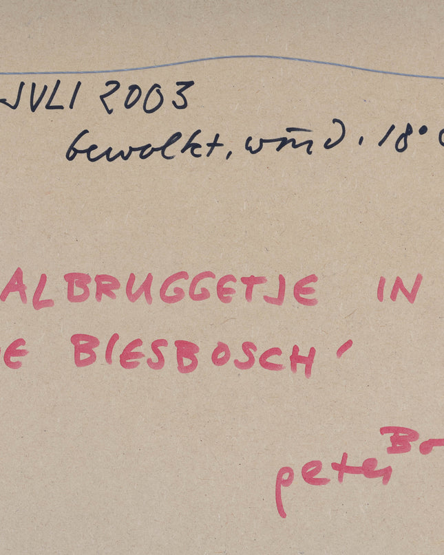 Peter Bol (1947) - Ophaalbruggetje in de Biesbosch