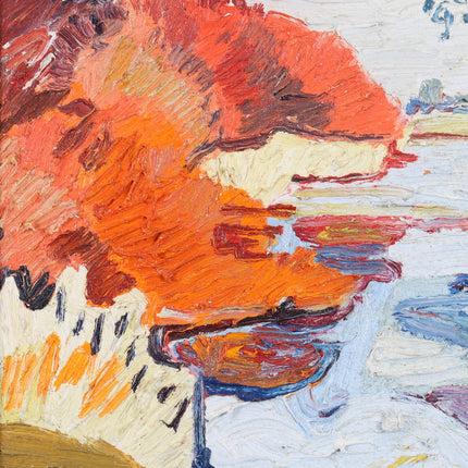 Peter Bol (1947) - Invallende dooi op een winterse kreek