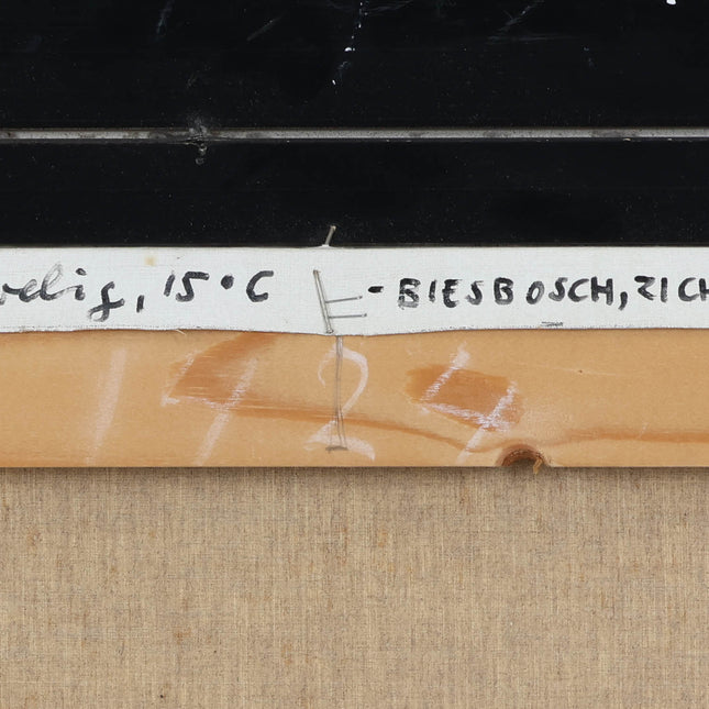 Peter Bol (1947) - 	Biesbosch, zicht op de Pannekoek