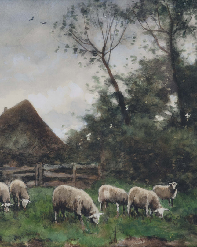 Moutons dans le pré