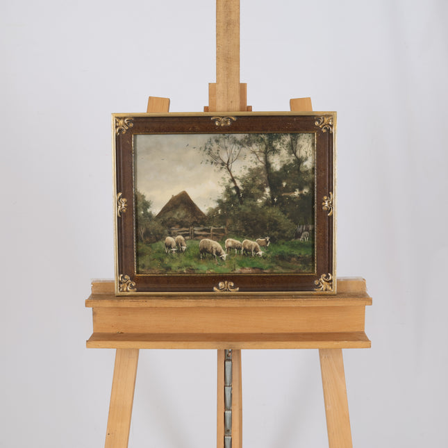 Schapen in de wei
