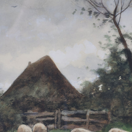 Schapen in de wei