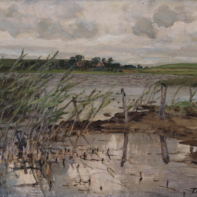 Riet bij de waterkant