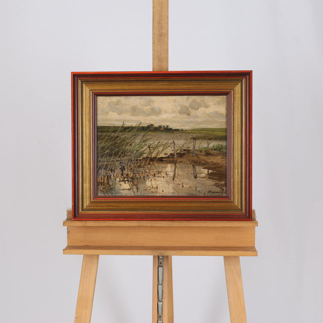 Riet bij de waterkant