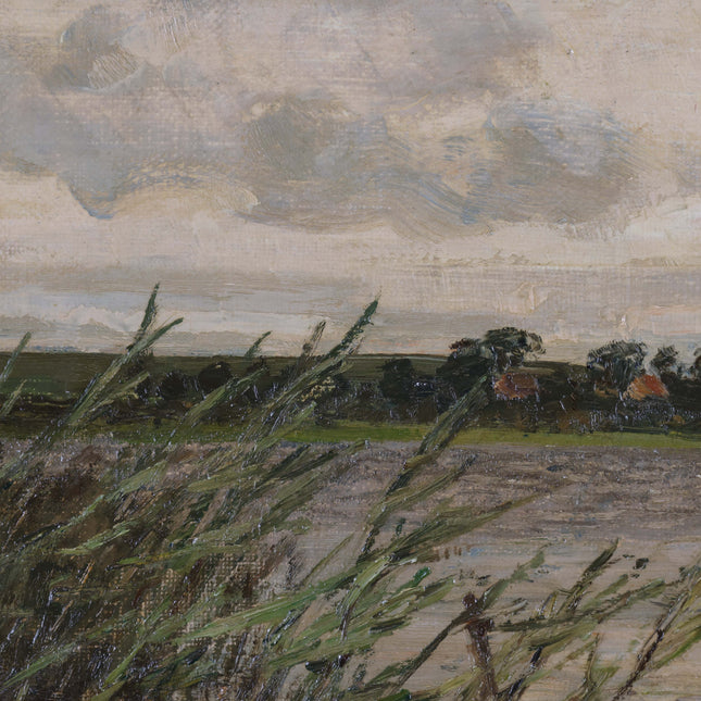 Riet bij de waterkant
