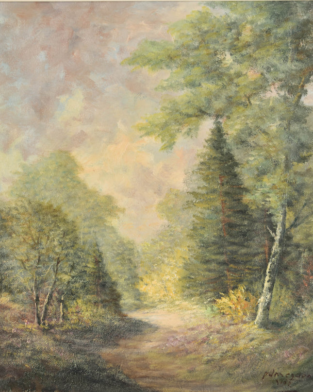 Vue sur la forêt