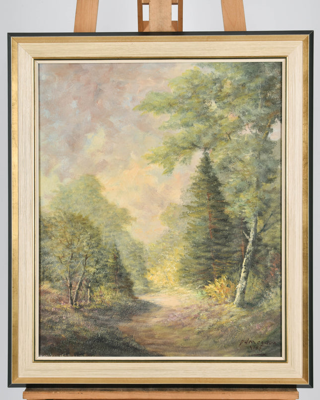 Vue sur la forêt