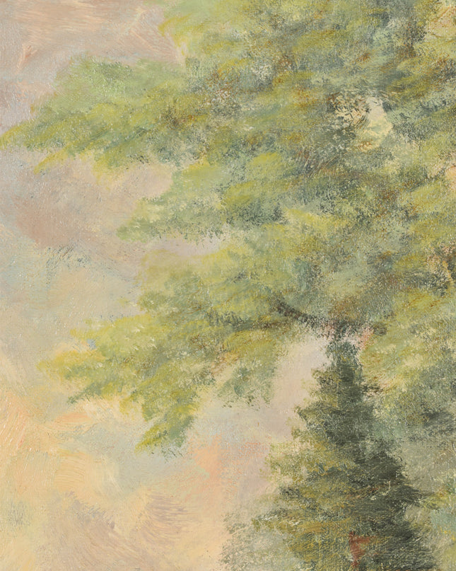 Vue sur la forêt