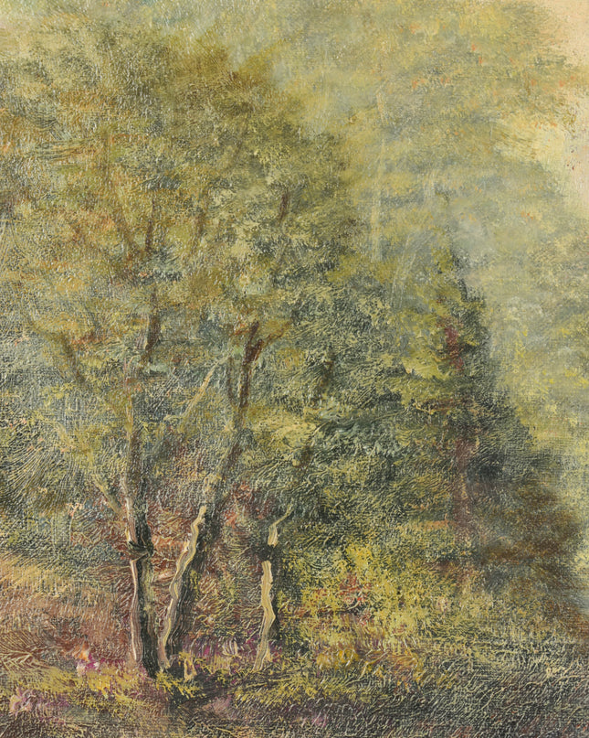 Vue sur la forêt