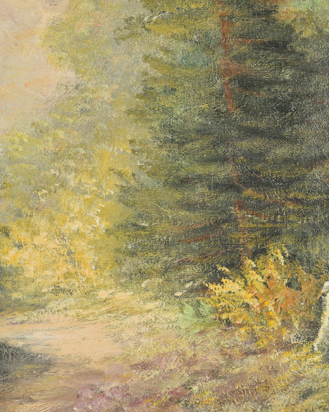 Vue sur la forêt