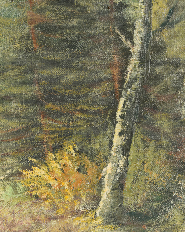 Vue sur la forêt