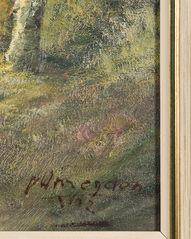 Vue sur la forêt