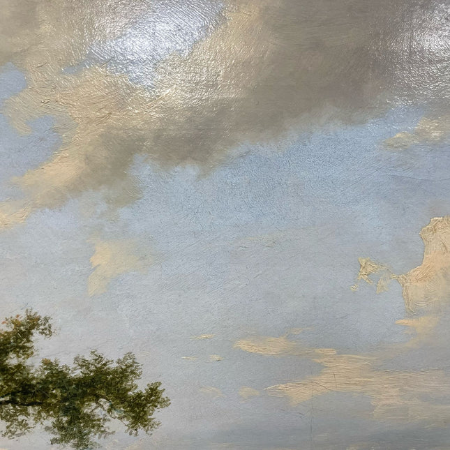 Rivierlandschap met zicht op een stad