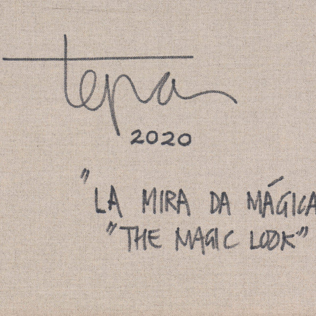 Steve Tepas (1978) - The magic look